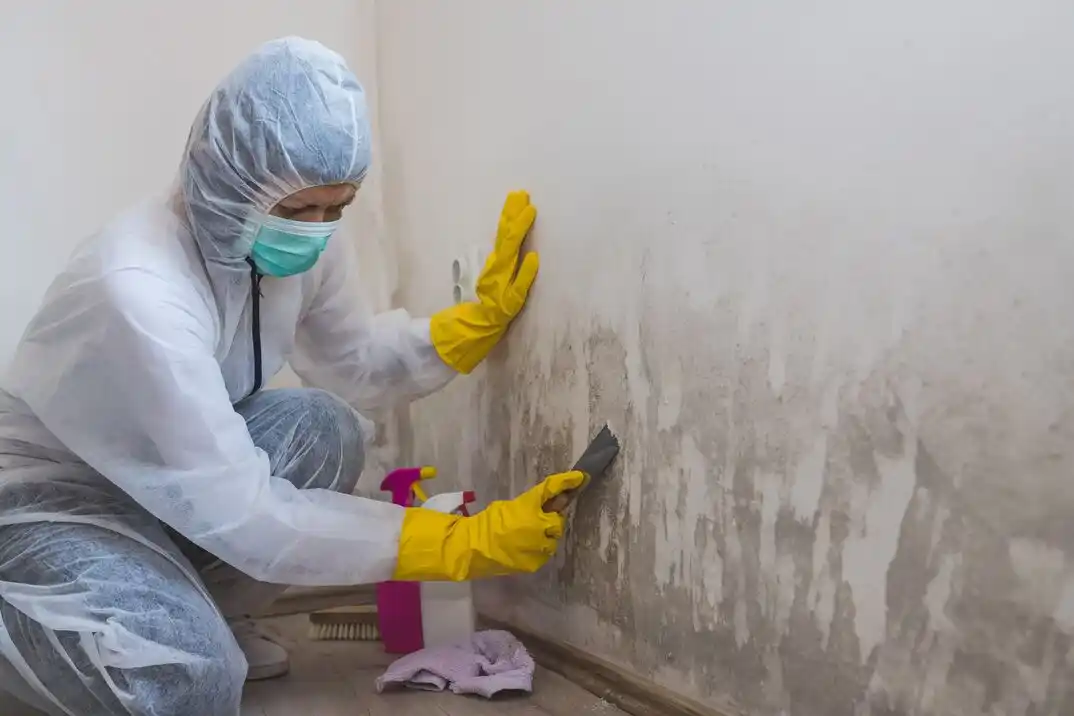 water damage restoration service Summer Creek Meadows